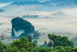 Home img 08 free img 300x203.jpg